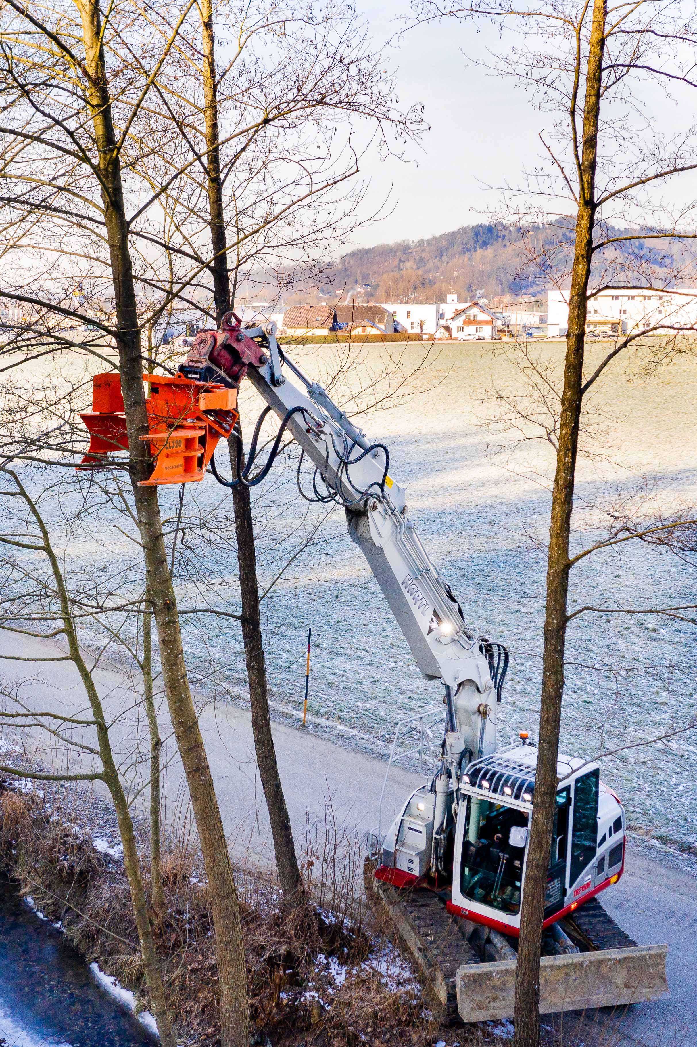 REWWER-TEC Uni-Holzbock Buchenholz 75 x 75 cm 400/B